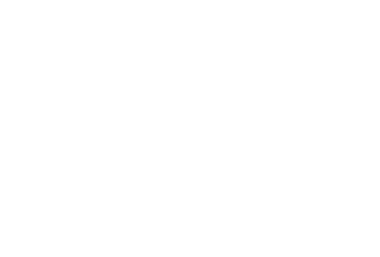 logo-renerix
